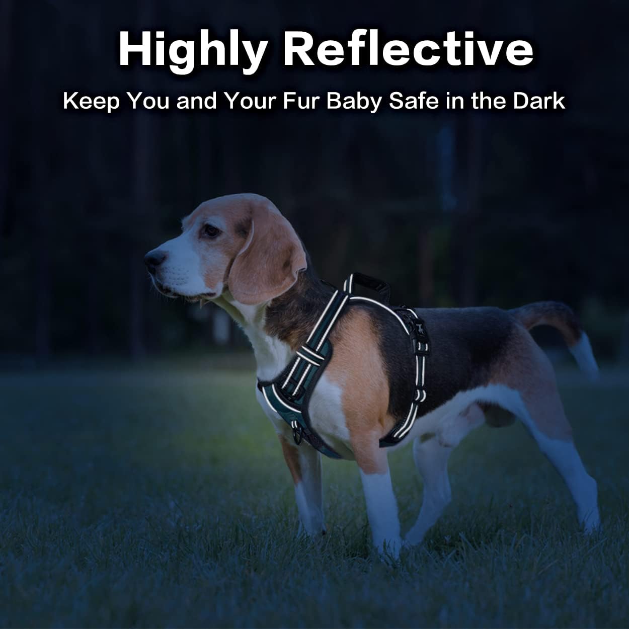 PoyPet No Pull Dog Harness, No Choke Front Clip Reflective Dog Vest with Soft Padded Vertical Handle, 3 Leash Attachments for Small Medium Large Dogs (Tumalo Teal,XL)