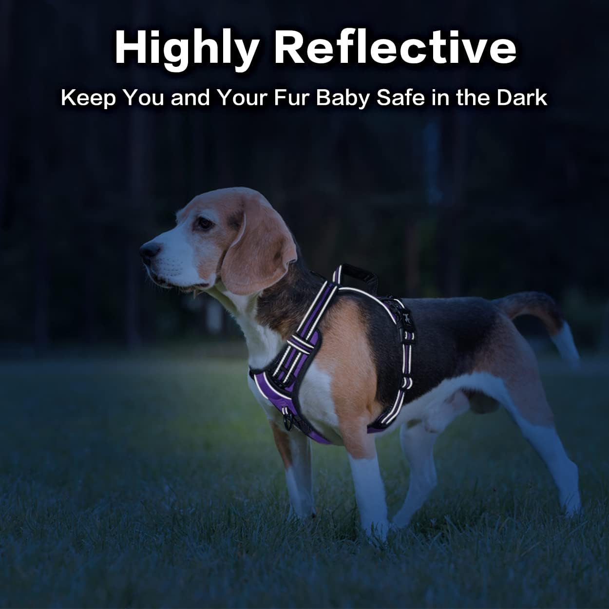 PoyPet No Pull Dog Harness, No Choke Front Clip Reflective Dog Vest with Soft Padded Vertical Handle, 3 Leash Attachments for Small Medium Large Dogs (Purple,S)