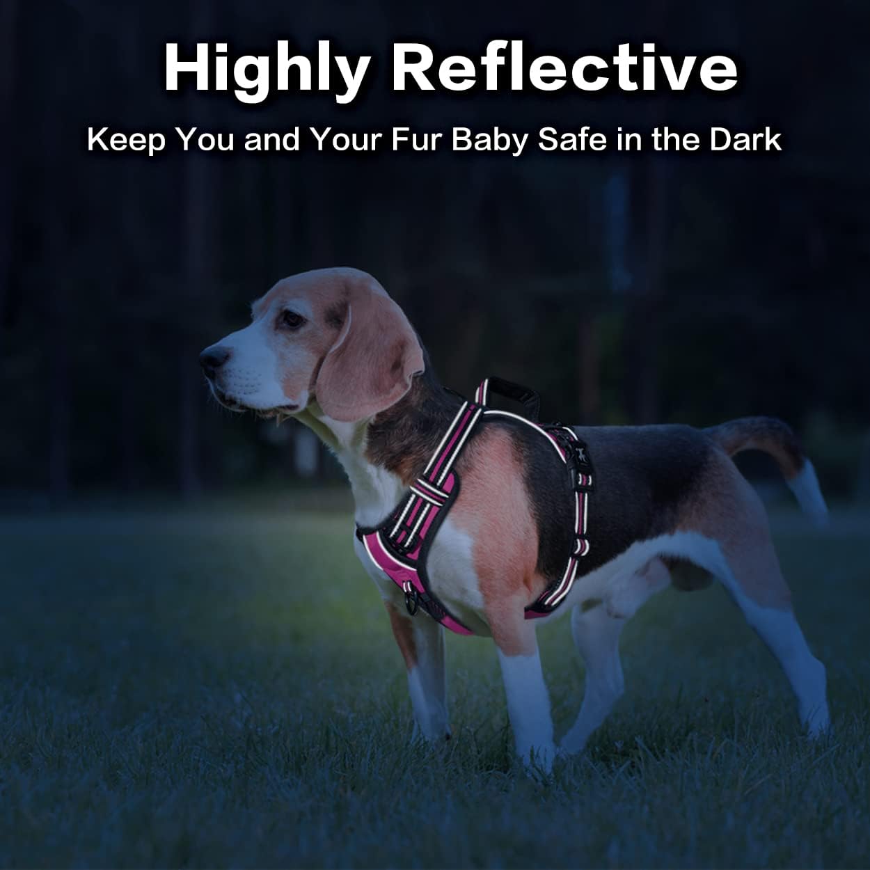 PoyPet No Pull Dog Harness, No Choke Front Clip Reflective Dog Vest with Soft Padded Vertical Handle, 3 Leash Attachments for Small Medium Large Dogs (Pink,L)