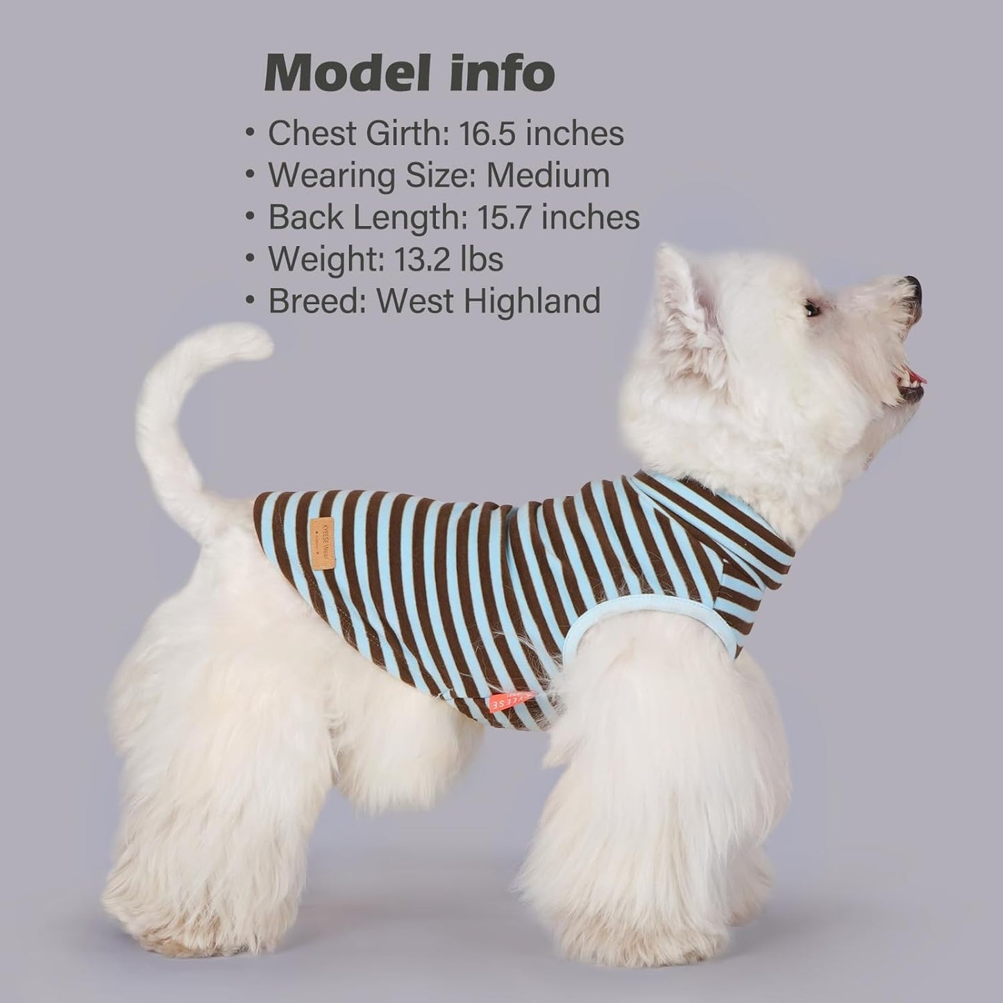 KYEESE 2Pack Dog Sweater Warm Pet Coats Pullover Dog Sweaters for Small Dogs Male Stretchy Dachshund Clothes Soft Pet Sweatshirt Turtleneck Dogs Clothes