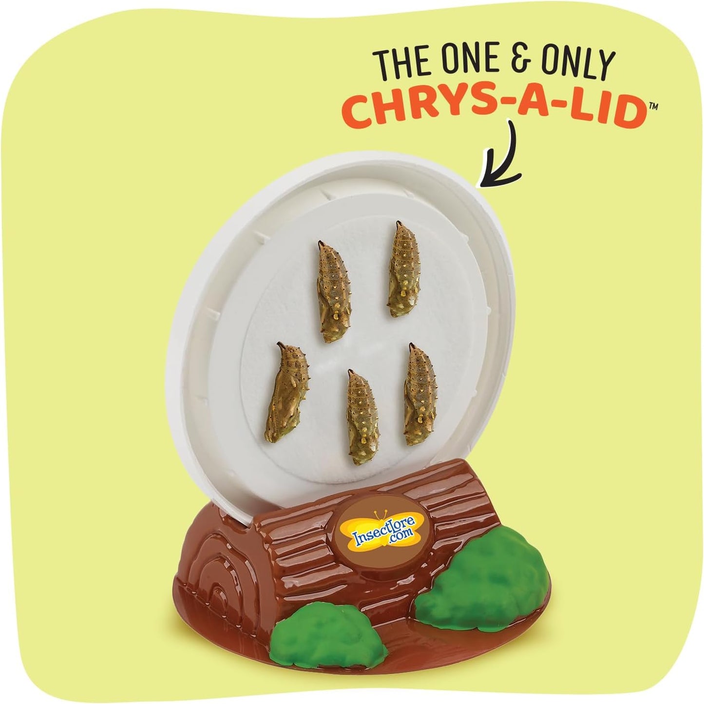 Insect Lore Butterfly Garden with 5 Live Baby Caterpillars - STEM Activity Journal, Habitat, Chrys-A-Lid Holder and Feeder Included | Raise and Release Painted Lady Butterflies