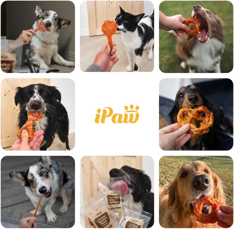 iPaw Turkey Tendons for Dogs, 100% Turkey and US Sourced Raw Material, Hypoallergenic, All Natural Human Grade Puppy Chew, Rawhide Alternative Dog Treats, 10 Unit/Packs Strip