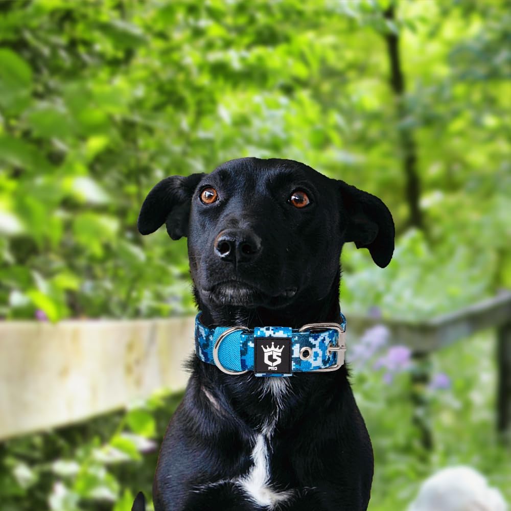 TSPRO Tactical Dog Collar 1.25 Inch Wide Thick Dog Collars with Heavy Duty Metal Buckle, Durable, Strong, Adjustable for Small Dogs (Camo Blue S)