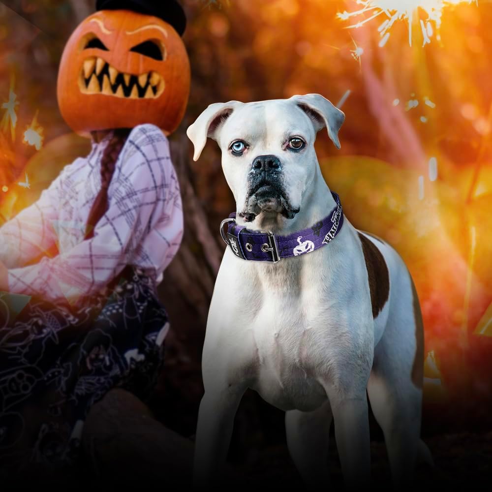 TSPRO Tactical Dog Collar 1.25 Inch Wide Thick Dog Collars with Heavy Duty Metal Buckle, Durable, Strong, Adjustable for Small Dogs (Halloween Purple S)