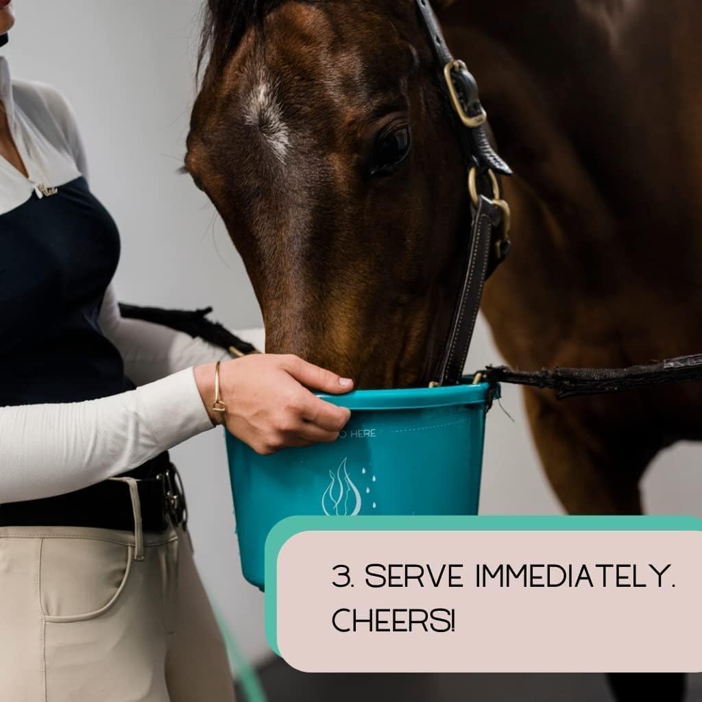 Gallagher's Water 12 Pack All-Natural Equine Hydration Treat - Enhancement Powder Mix Horse Drink Treat to Help Encourage to Drink Water - Made with All Natural Ingredients, FEI Compliant