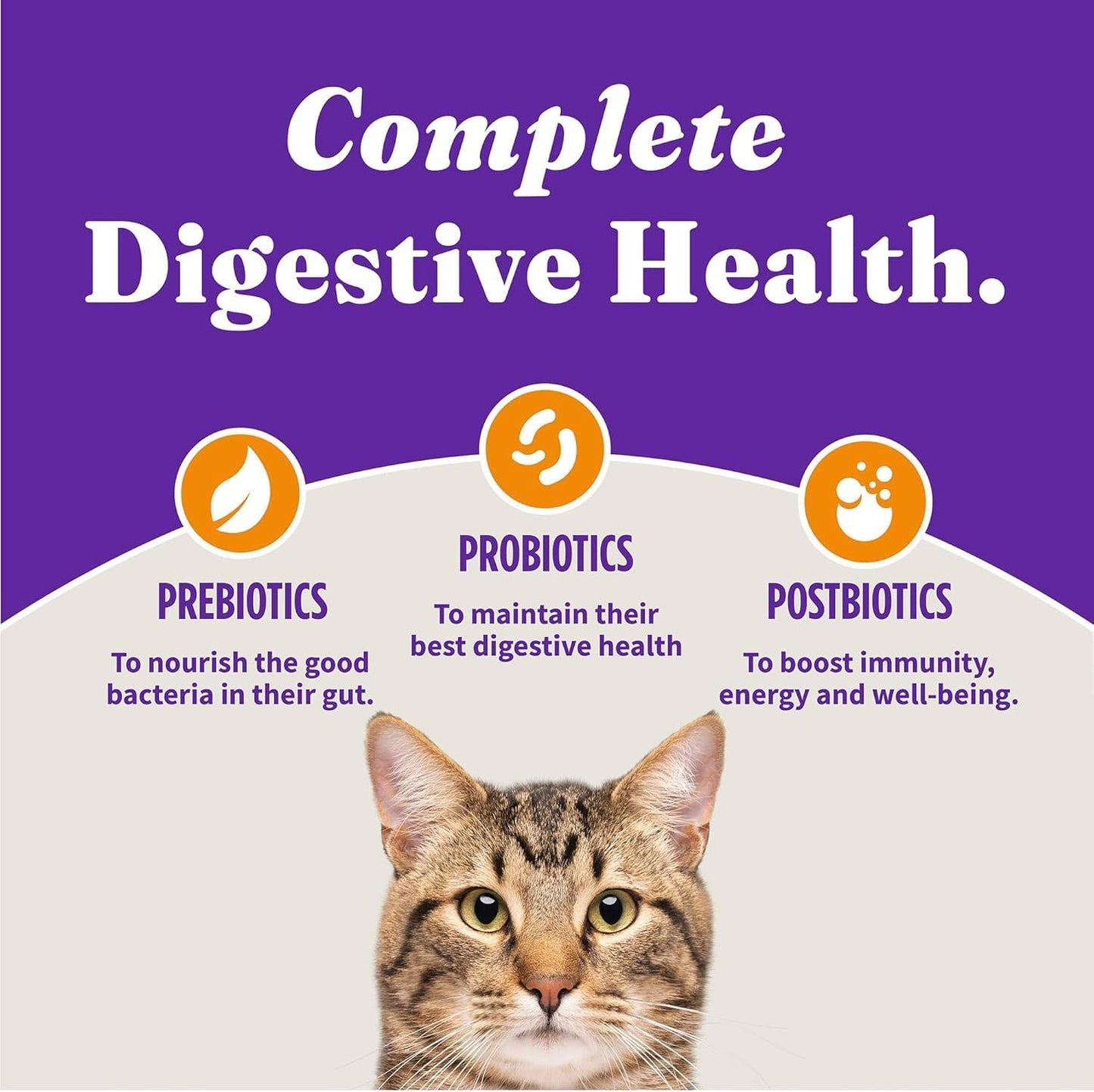 Halo Holistic Cage Free Chicken Cat Food, Healthy Grains Dry Cat Food, Complete Digestive Health, Kibble for Adult Cats, 10 lb Bag