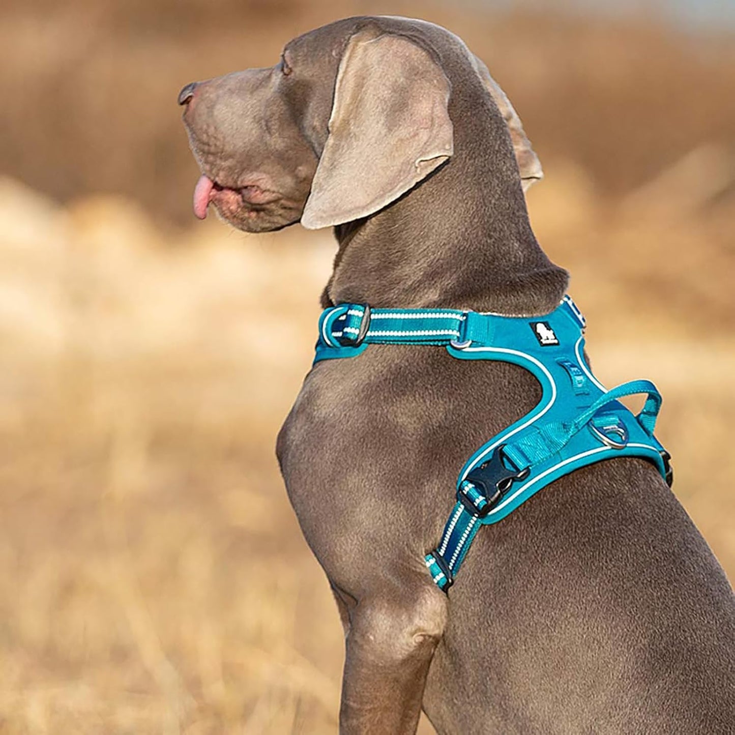 TRUE LOVE Dog Harness No Pull Nylon Reflective Pet Harness Adjustable Comfortable Control Step-in Brilliant Colors Truelove TLH56512