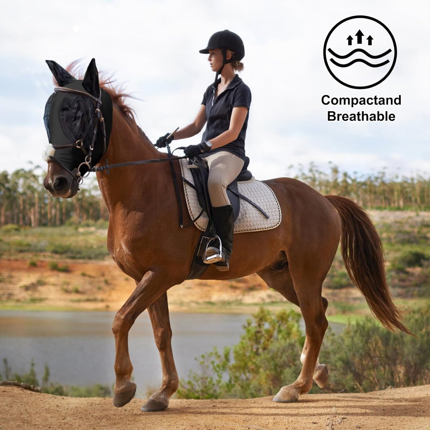 Horse Fly Mask with Ears, Comfortable Fit Stretch Fabric with UV Protection Soft on Skin Breathability for Small/Medium Size Horses (Black)