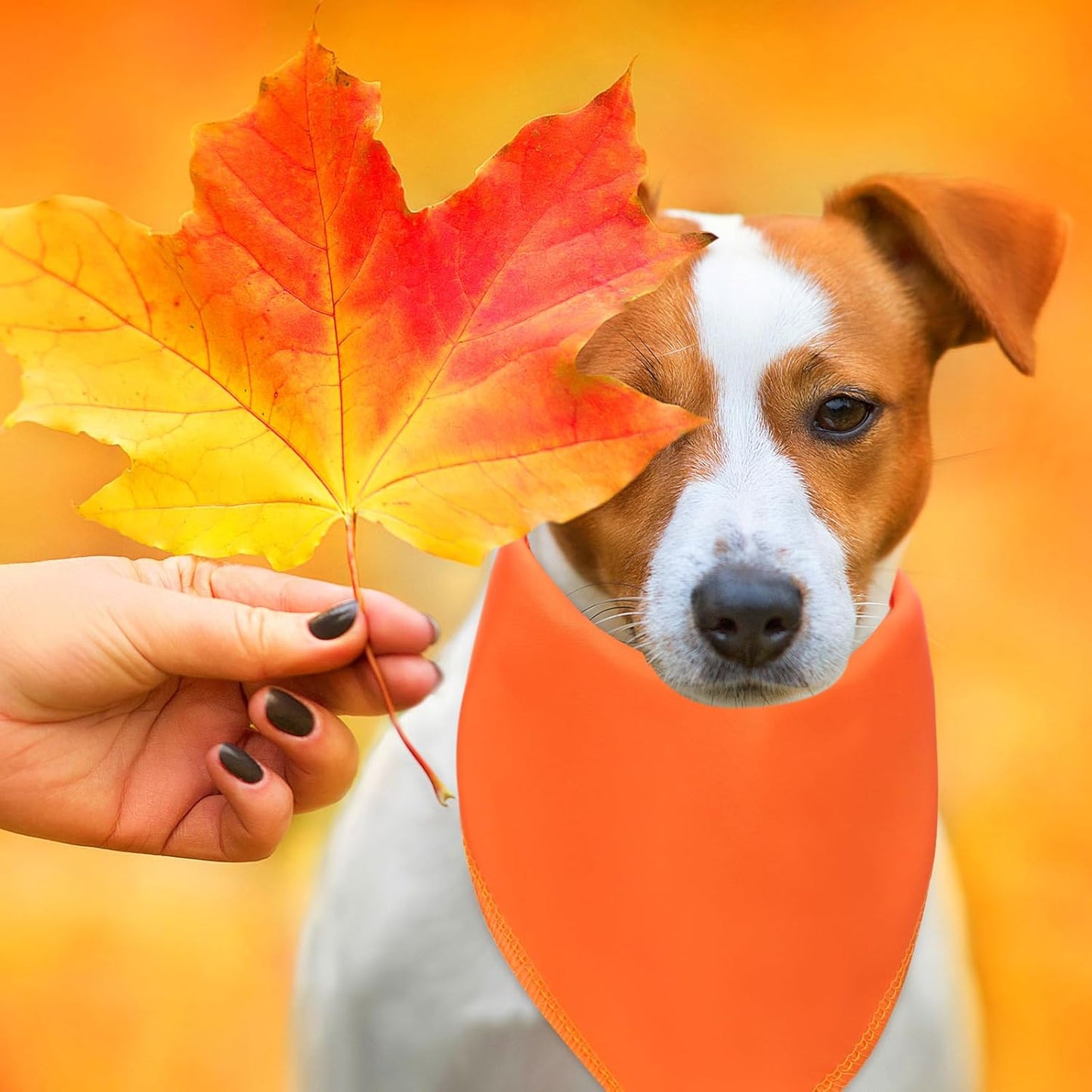 48 Pcs Thanksgiving Blank Dog Bandanas Bulk Sublimation Plain Bandanas for Dogs Heat Transfer Personalized DIY Triangle Bibs Scarf Set for Pets Fall Costume Photo Props Accessories Pet Shops