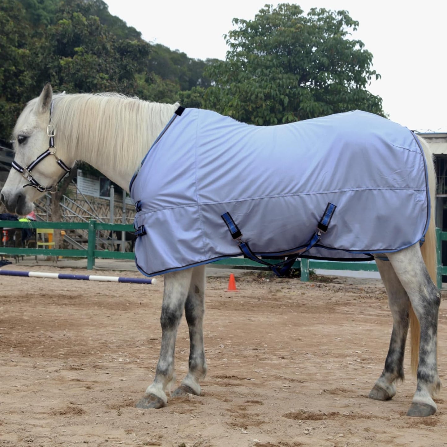 Horse Fly Sheet, Standard Neck Comfy Mesh Fly Sheet for Horses, Equine Summer Sheets UV-Protective Lightblue 81