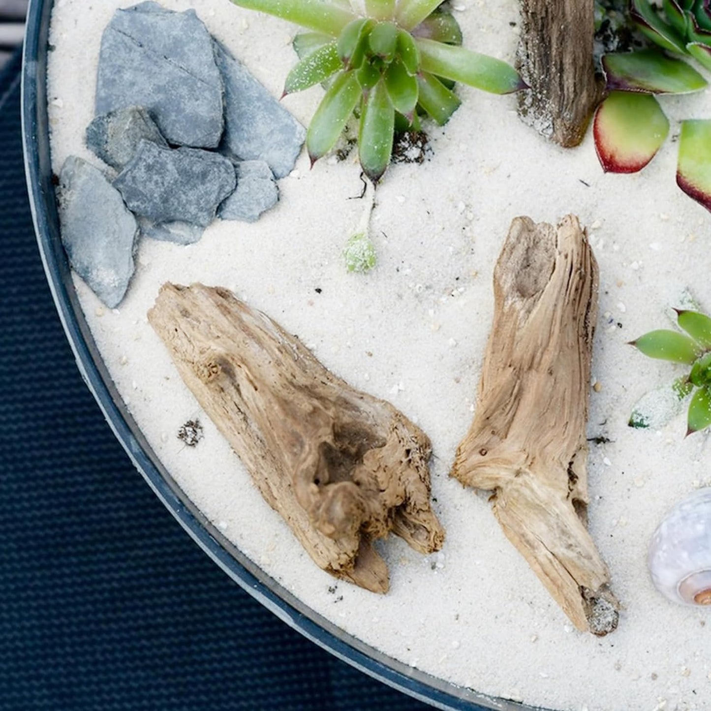 10 lbs Aquarium White Sand, 0.8-2mm Coarse Sand. Small Gravel for Fish Tank, Succulent Plants Potted, Paintings, Fire Pits, Candle, Vase Filler and Crafts