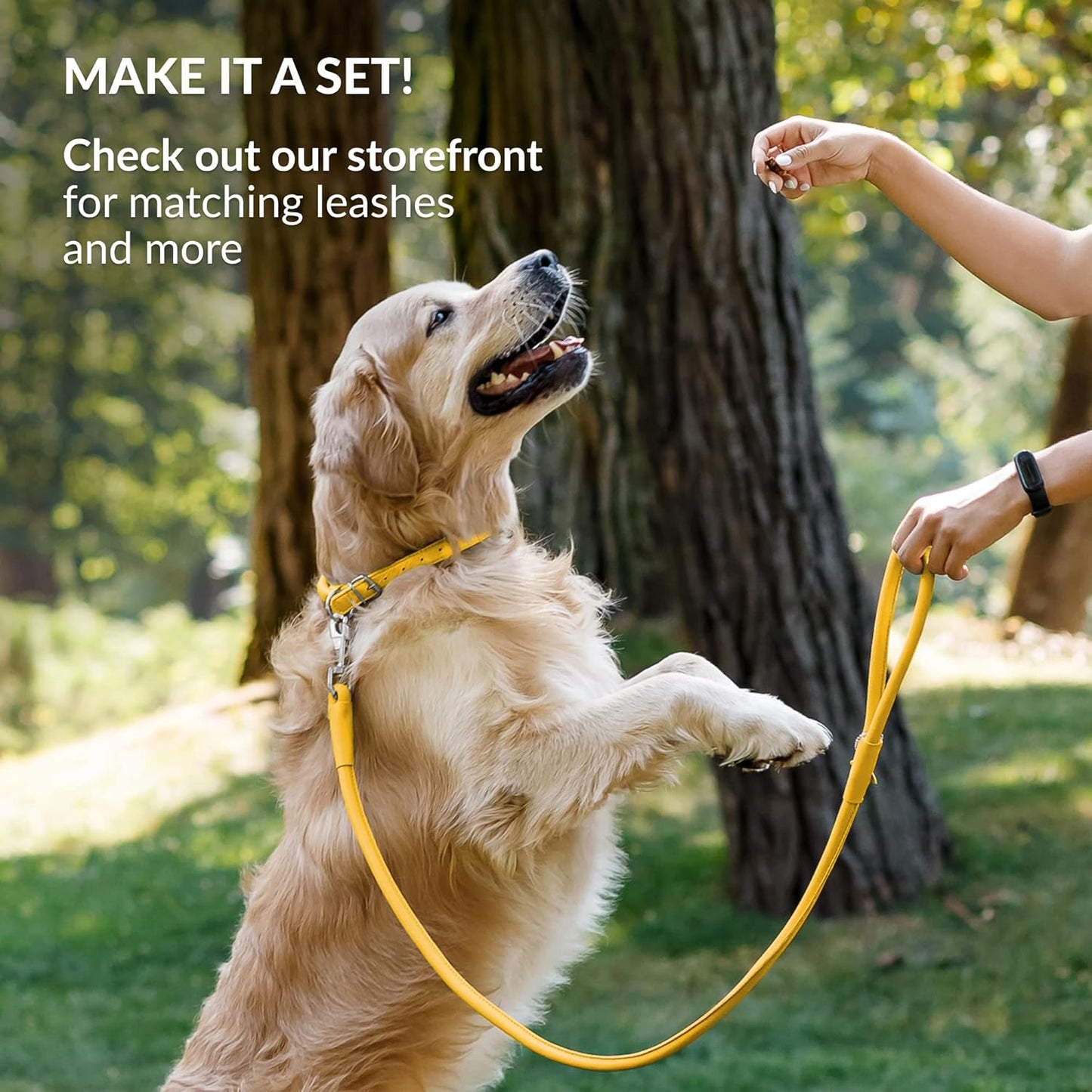 CollarDirect Rolled Leather Dog Collar, Soft Padded Round Puppy Collar, Handmade Genuine Leather Collar Dog Small Large Cat Collars 13 Colors (13-16 Inch, Yellow Smooth)