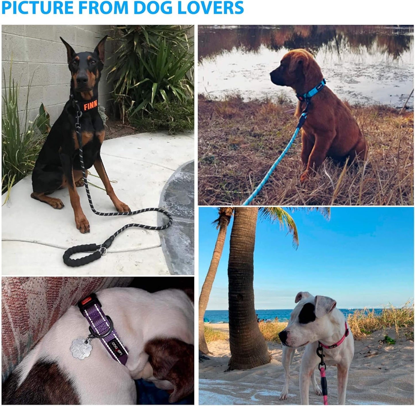 Heavy Duty Dog Leash - Comfortable Padded Handle, 5 ft Long - Dog Leashes for Small Medium Large Dogs (Leash+Collar L Neck 20"-25", Purple)