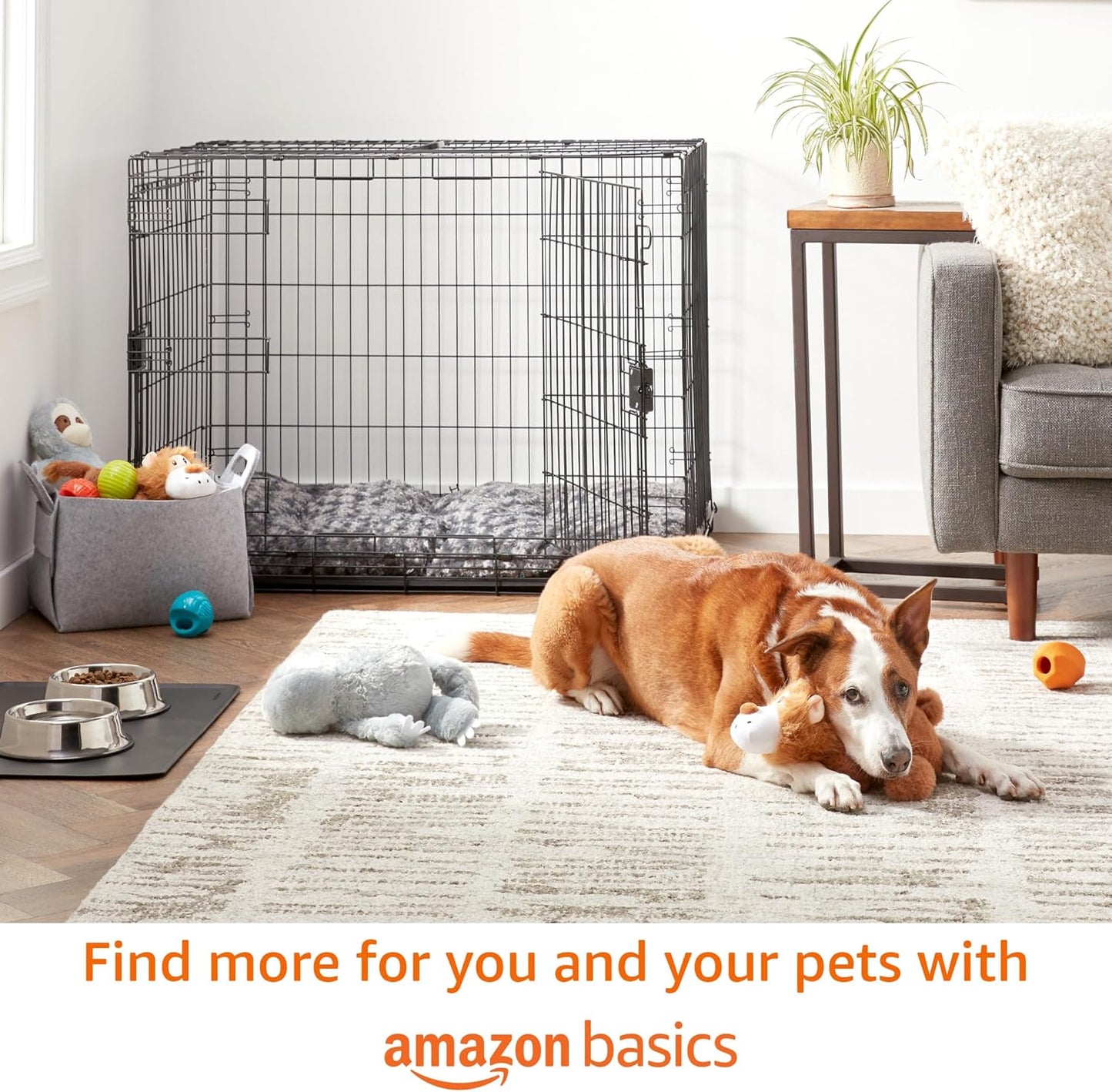 Amazon Basics Leak Proof Dog Poop Bags with Dispenser and Leash Clip, Unscented, 13 x 9 Inches - 810 Count (15 Bags per Roll, 54 Rolls)