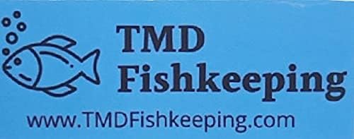 20+ Giant Duckweed (Spirodela polyrhiza) - Lush Live Floating Plant for Aquariums & Ponds - Eco-Friendly Water Purifier & Oxygenator - Easy-Care Aquatic Decor