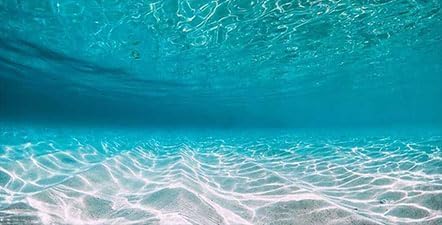 60X24IN Natural Undersea Aquarium Background, Undersea Beach Fish Tank Background, with 8 EVA Double-Sided Tape