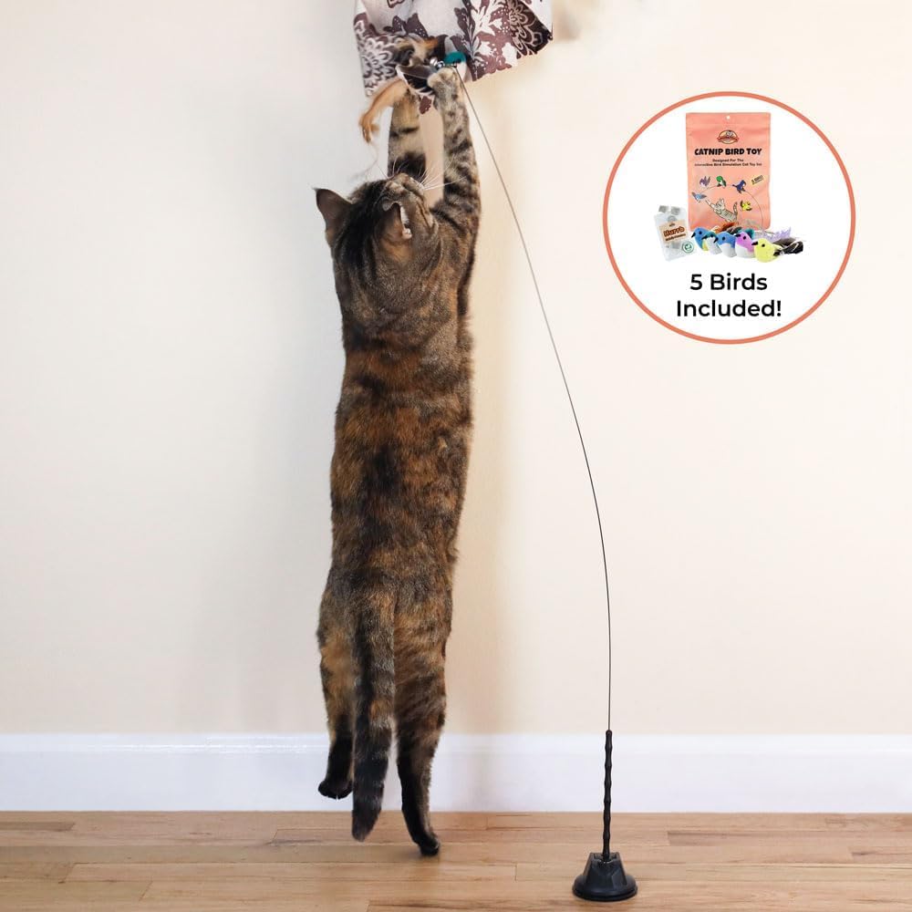 Interactive Catnip Bird Toy Set (5 Replacement Catnip Birds)