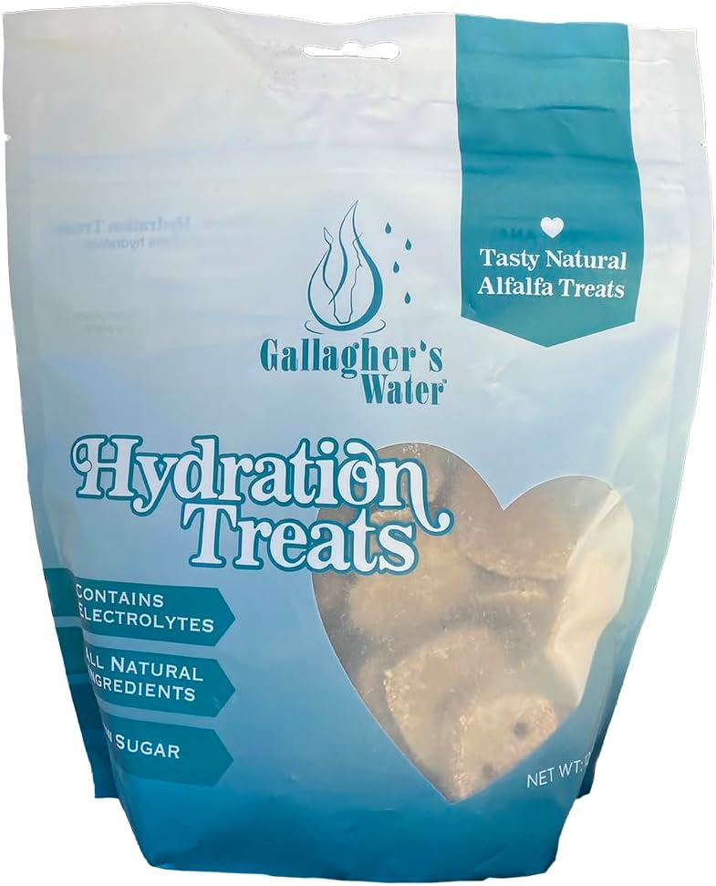GALLAGHER'S WATER Hydration Treats for Horses. Crunchy Tasty Treats with Electrolytes. 12oz Bag