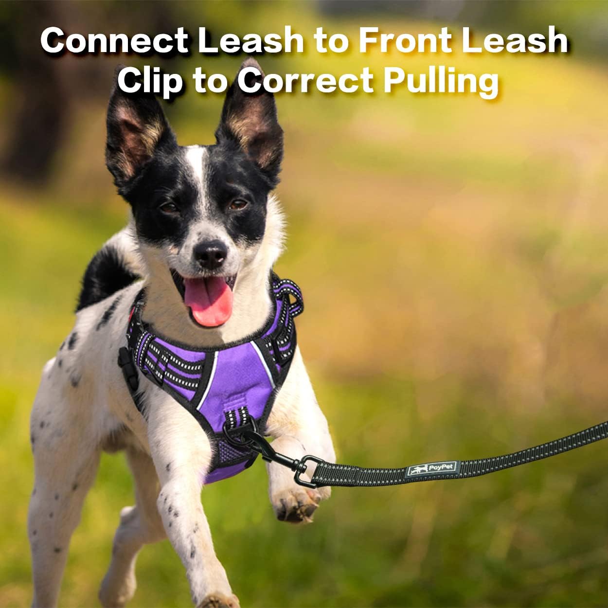 PoyPet No Pull Dog Harness, No Choke Front Clip Reflective Dog Vest with Soft Padded Vertical Handle, 3 Leash Attachments for Small Medium Large Dogs (Purple,S)