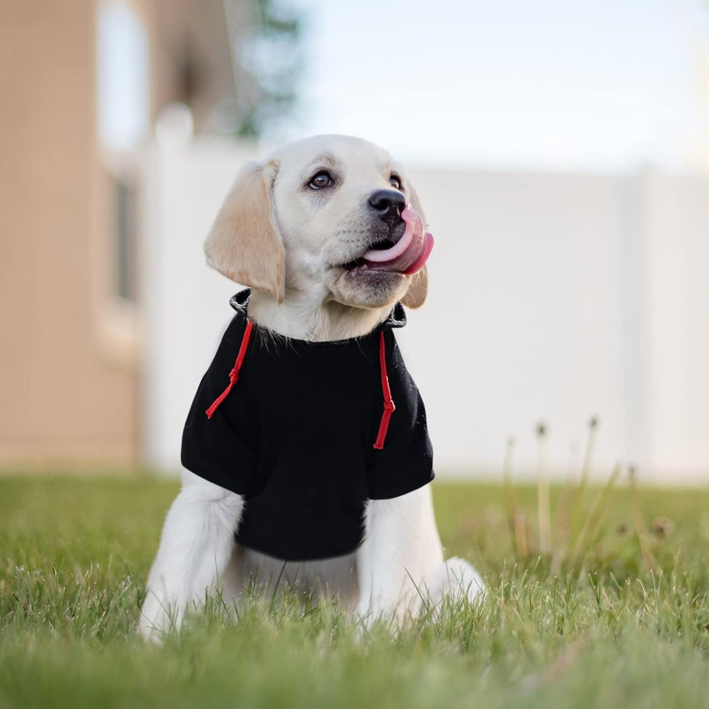 SAWMONG Dog Hoodie,Flannel Pet Hooded Sweater with Hat Puppy Pullover Sweater Shirt,Dog (Black,S)