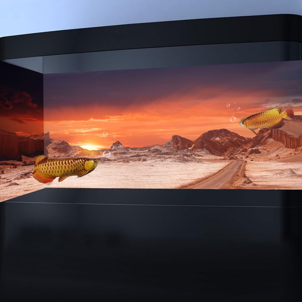 24X16IN Sun and Desert Moon Themed Reptile Habitat on Orange Durable Decorative Background, Terrarium Background with 10EVA Double-Sided Tape