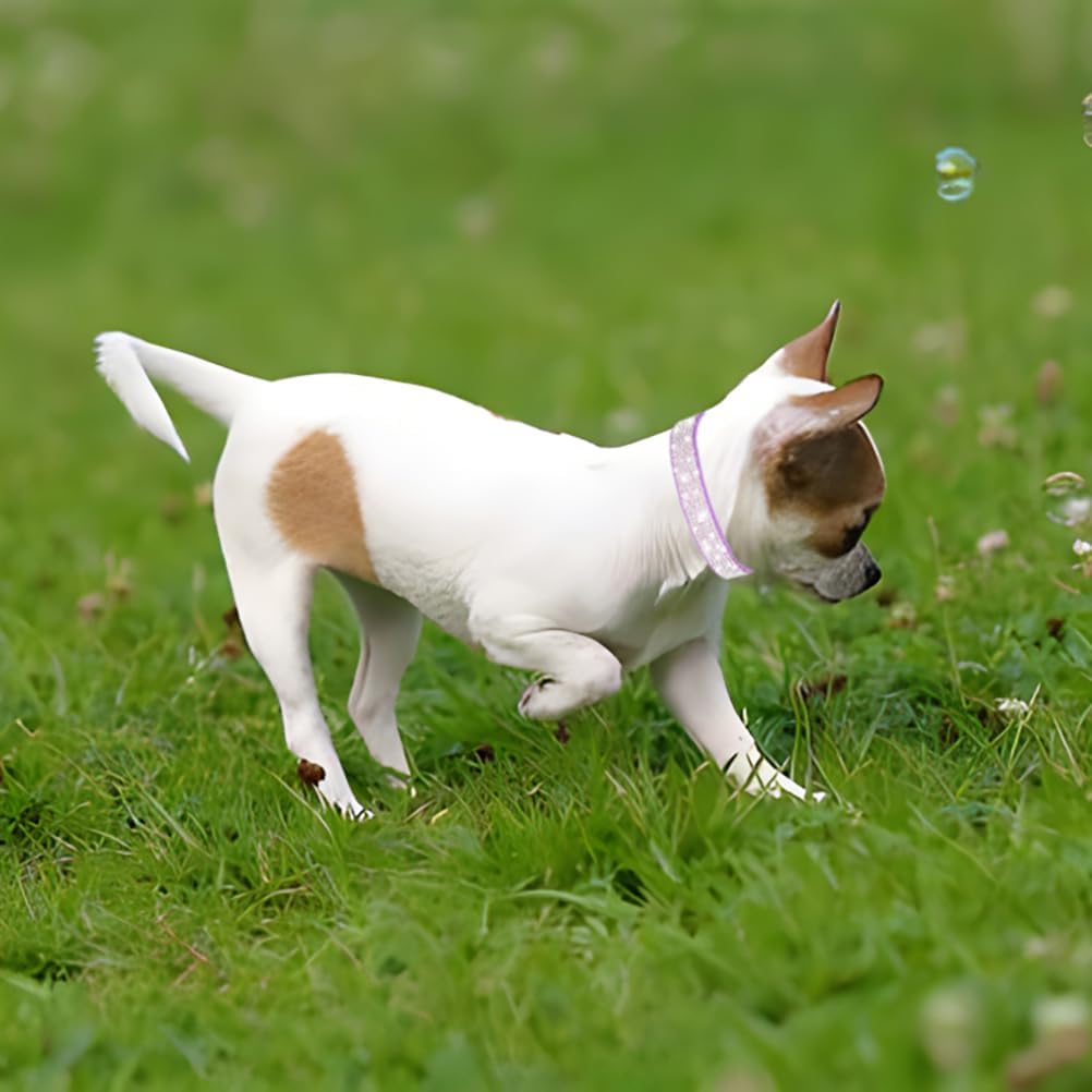 Rhinestone Dog Collar for Small Dogs, Bling Diamond Fancy Crystal Glitter Pretty Jewel Pet Puppy Collars for XXS XS Small Medium Large Breed Girl Dogs Female Cats Kitten, Red L