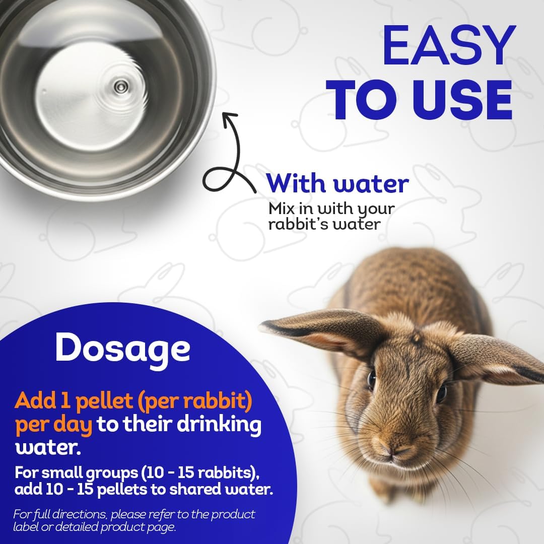 HA4E - Rabbit E. Cuniculi Infection Treatment - Natural, Homeopathic Support for Prevention & Immunity Boost - 300 Tablets