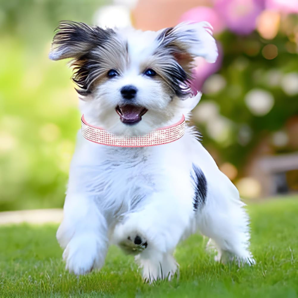 Rhinestone Dog Collar for Small Dogs, Bling Diamond Fancy Crystal Glitter Pretty Jewel Pet Puppy Collars for XXS XS Small Medium Large Breed Girl Dogs Female Cats Kitten, Colorful Hot Pink XSmall