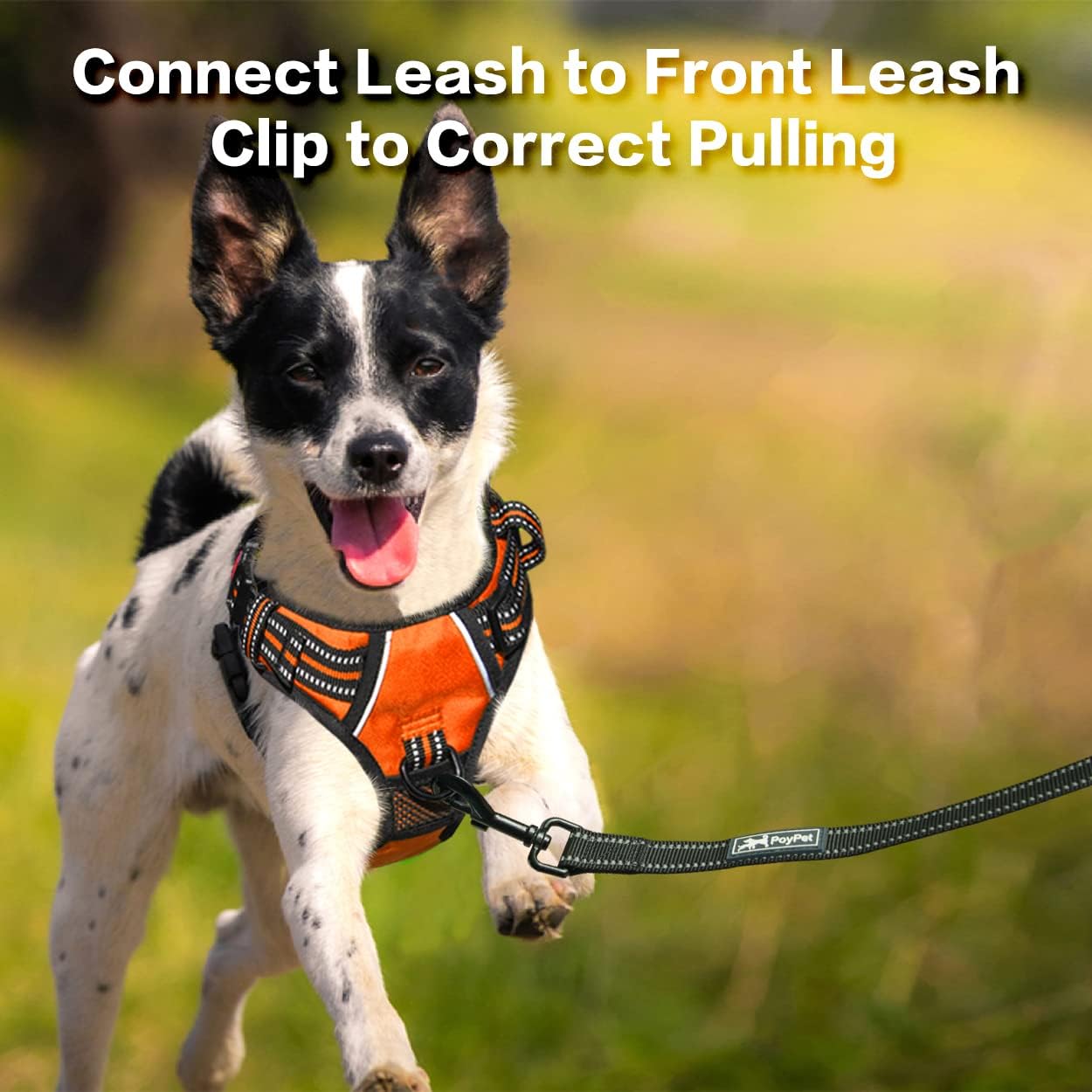 PoyPet No Pull Dog Harness, No Choke Front Clip Reflective Dog Vest with Soft Padded Vertical Handle, 3 Leash Attachments for Small Medium Large Dogs (Orange,XL)