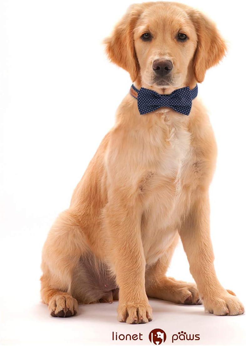 Lionet Paws Boy Dog Collar with Bowtie, Comfortable Adjustable Cute Navy Blue Bow Tie Collar for Male Dogs Gift, Large, Neck 16-24 inches