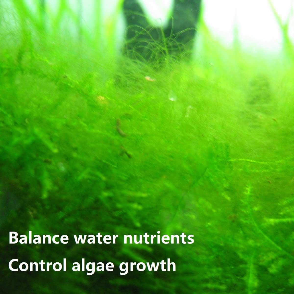 IOAOI PuriResin Aquarium Filter Media, Organic Filtration Resin, for Freshwater and Saltwater Fish Tank, Removes Driftwood Tannins, 100 ml, 3 Packs