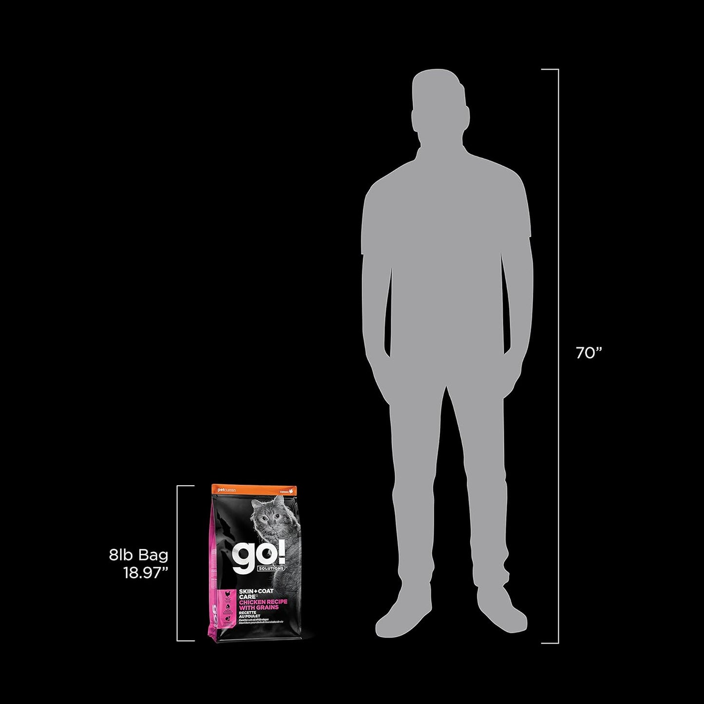 Go! Solutions Skin + Coat Care, Dry Cat Food, Chicken Recipe with Grains, 8 lb Bag