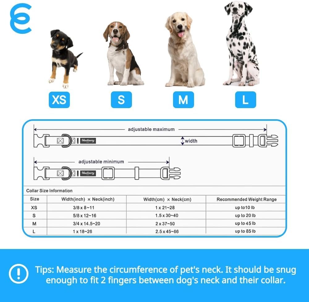 Blueberry Pet Essentials Turquoise Dog Collar | Adjustable Eco-Friendly Nylon Strap | Dog Collars for Small Dogs, Boy Dog Collar, Puppy Collar | 12-16 Inches