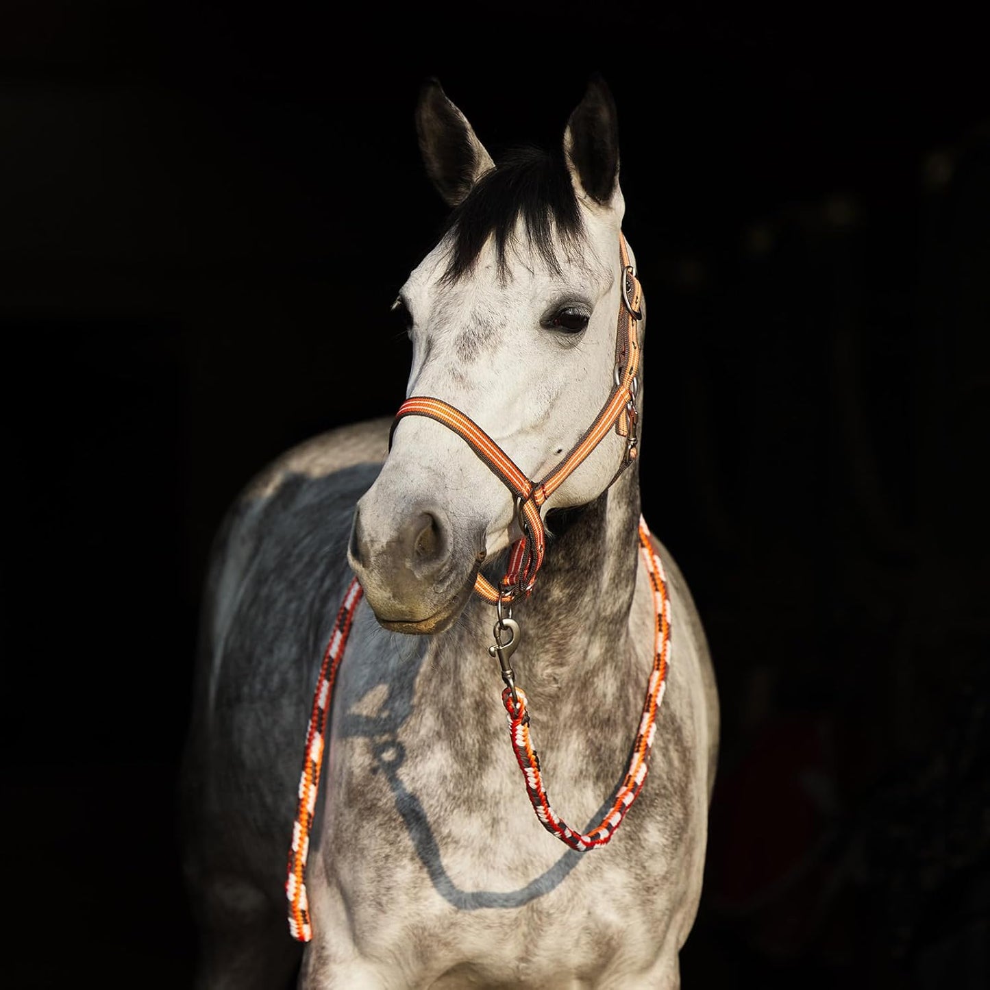 HORZE Adepto Adjustable Horse Halter | Soft, Durable Polyester - Coral Gold - Horse