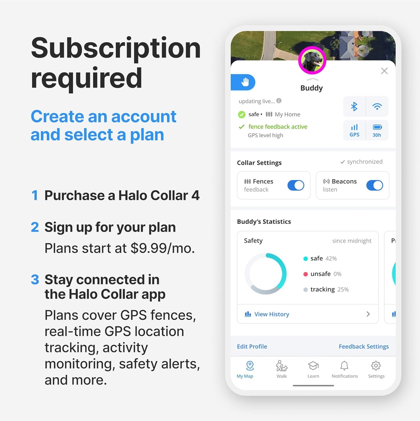 Halo Collar 4, All New GPS Wireless Dog Fence & Dog Training Collar with GPS Tracker, Subscription Required, Waterproof, One Size, Graphite