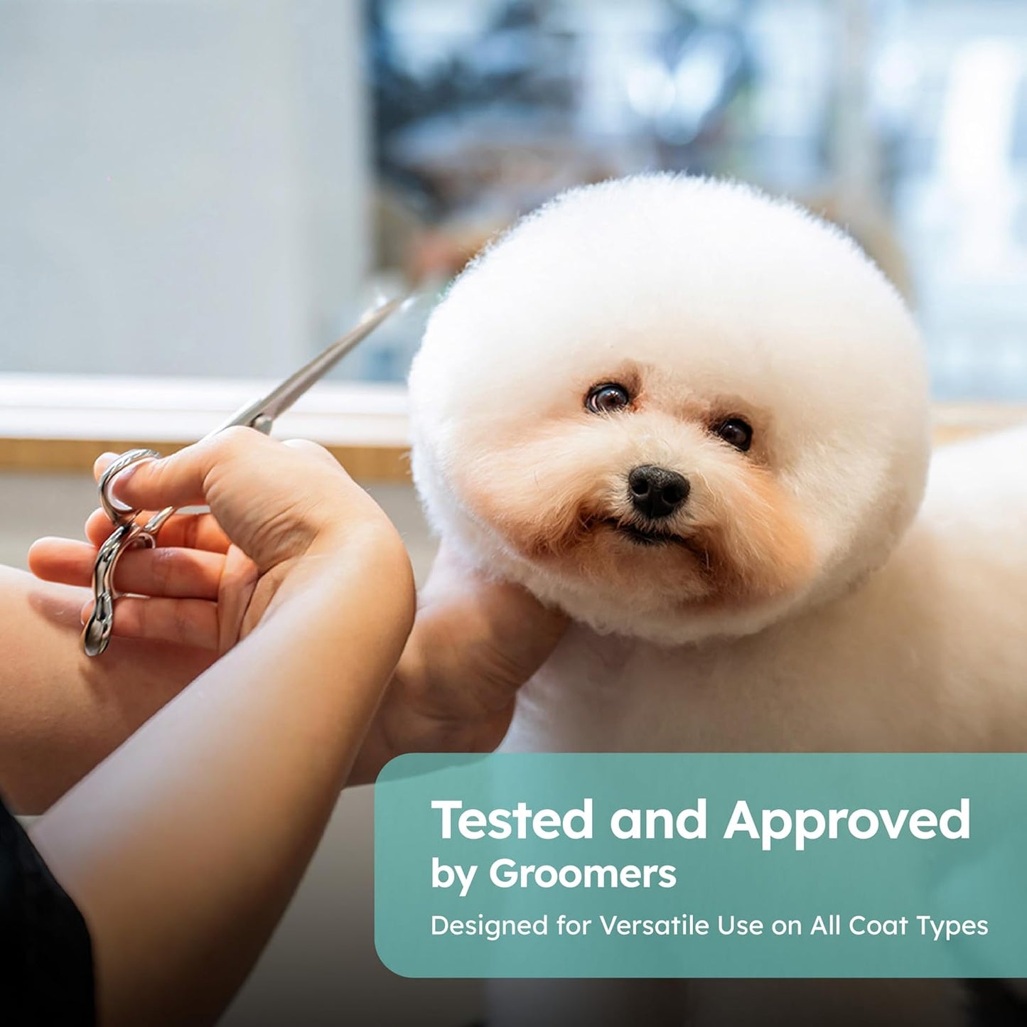 8” Dog Grooming Scissors – VG10 Japanese Steel Professional Pet Thinning Shears for Cats & Dogs | Clean Cut & Precise Trimming | Lightweight, Ergonomic, Handcrafted | Thinning Rate 50% | K9 Shears