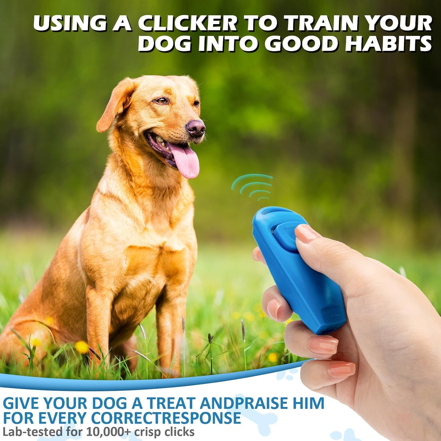 2-in-1 Dog Training Clicker Whistle for Training and Recall, Training Accessories for Puppy, Cats, Horses & Small Animals - 2 Pack with Lanyard, Reward Your Pets Efficiently(White + Light Blue)