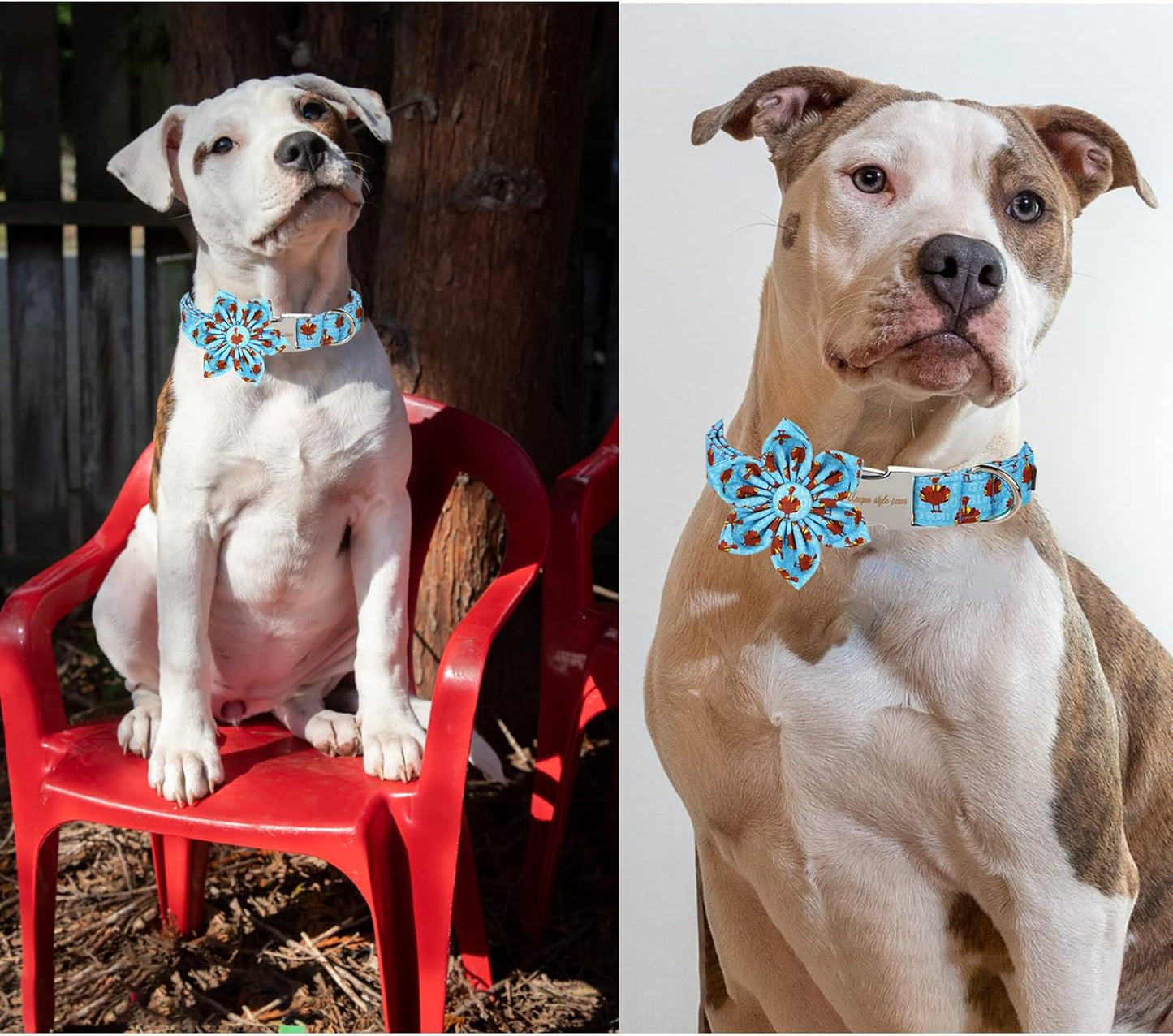 Unique style paws Thanksgiving Dog Collar with Flower Tie Autumn Turkey Theme Puppy Collar for Small Medium Large Dogs-XS