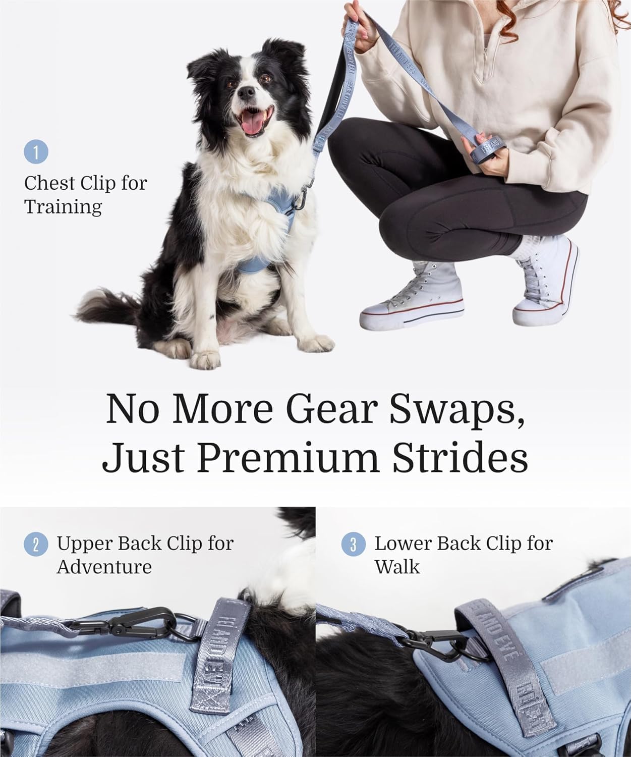 2025 New Edition, Fei & Eve MagEase Dog Harness - 3-Second Magnetic Buckles | 3-Point No-Pull Control | Heavy-Duty 900D Nylon | Dual Safety Handles | Breathable Mesh | Adjustable Fit |Small, Blue