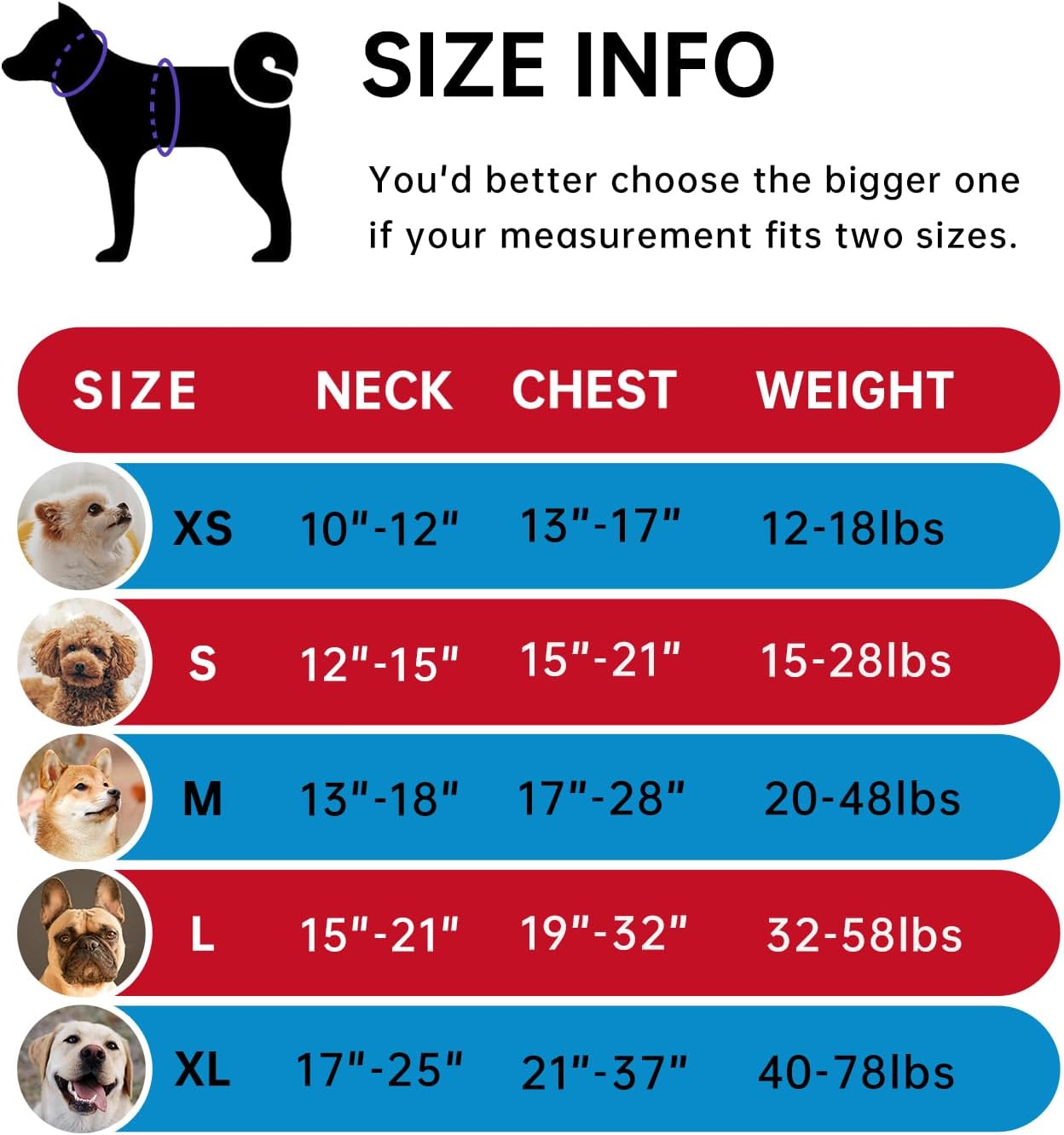 IVY&LANE No Pull Dog Harness for Medium Dogs, Dog Vest Harness with Leash, Safety Belt and Storage Strap, Fully Adjustable, 360 Reflective Strip, Soft Handle (Red, M)