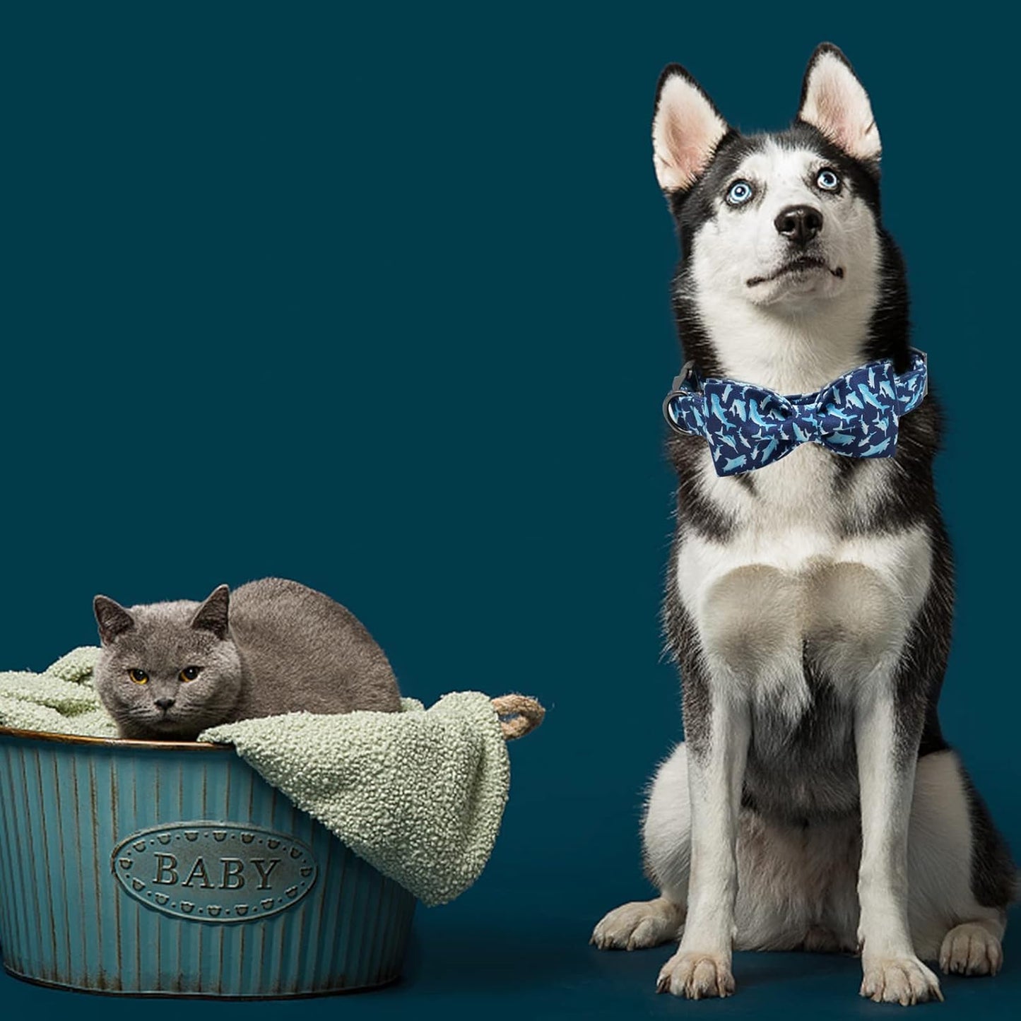 Elegant Little Tail Bowtie Dog Collar - Shark Print, Adjustable for Small Dogs