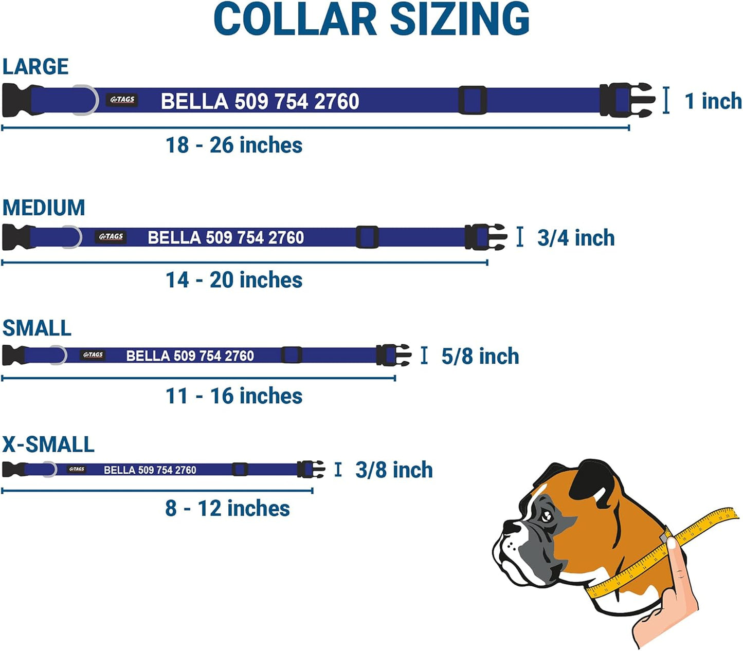 GoTags Personalized Dog Collar with Nameplate, Adjustable Dog Collar with Custom Engraved Slide On Pet ID Tag in Stainless Steel, Silent, No Noise Dog Tag for Large Medium and Small (Blue, X-Small)