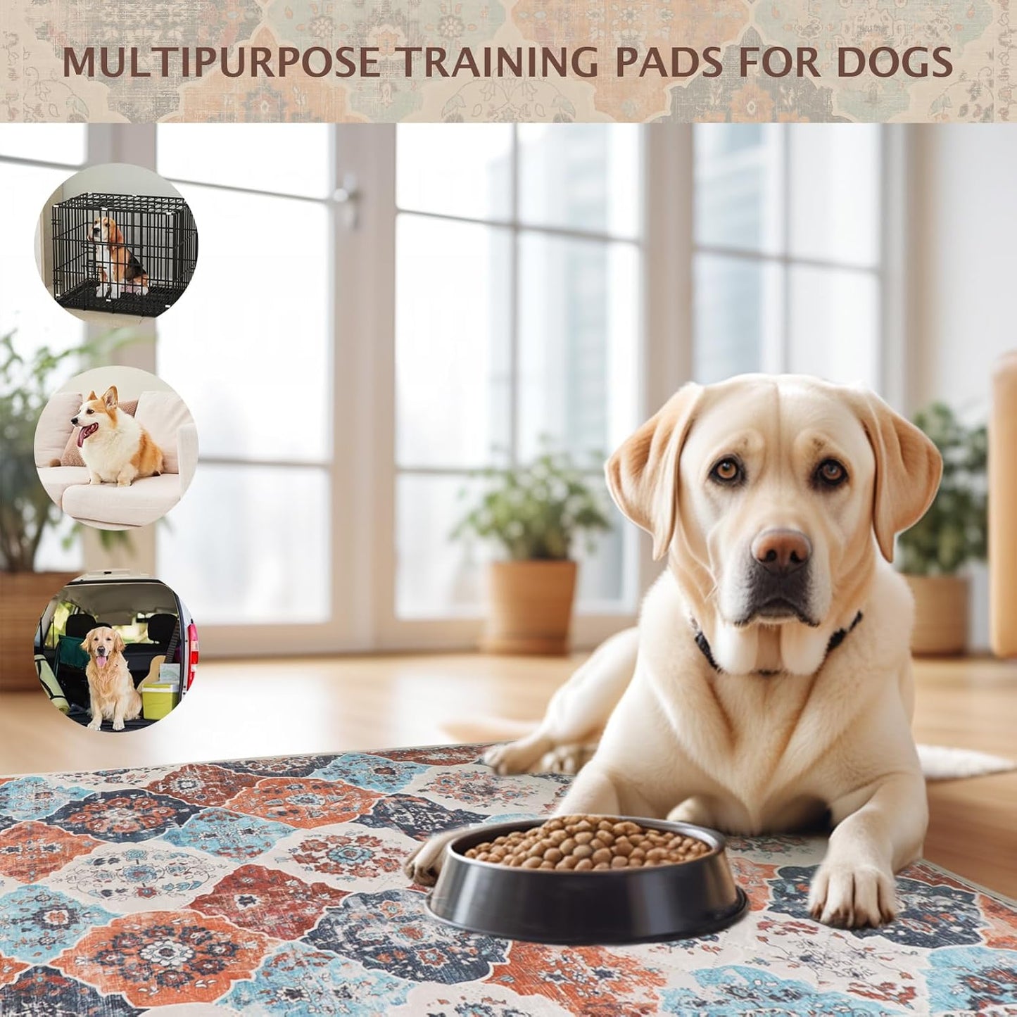 IEUUMLER Washable Pee Pads for Dogs, 2 Pack Reusable Non-Slip Grip, Super Absorbent Waterproof Puppy Pads for Potty Training, Playpen, Crate, Whelping Box EU011 (Orange, 24" x 18")