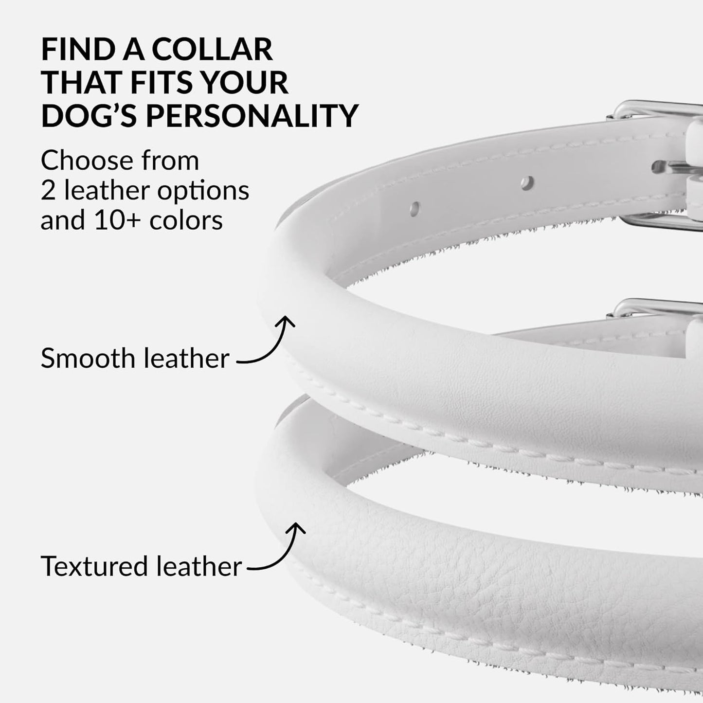 CollarDirect Rolled Leather Dog Collar, Soft Padded Round Puppy Collar, Handmade Genuine Leather Collar Dog Small Large Cat Collars 13 Colors (11-14 Inch, White Smooth)
