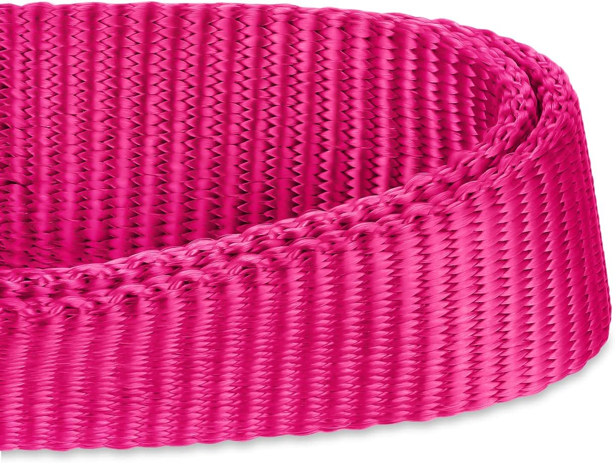 Hyhug Pets Solid Color Classic Regular Heavy Duty Basic Collar for Large Dogs, Unique Design Adjustment Triglide Slide (Buckle) Can Attached Name Tag Accessories. (Large, Rose Red)