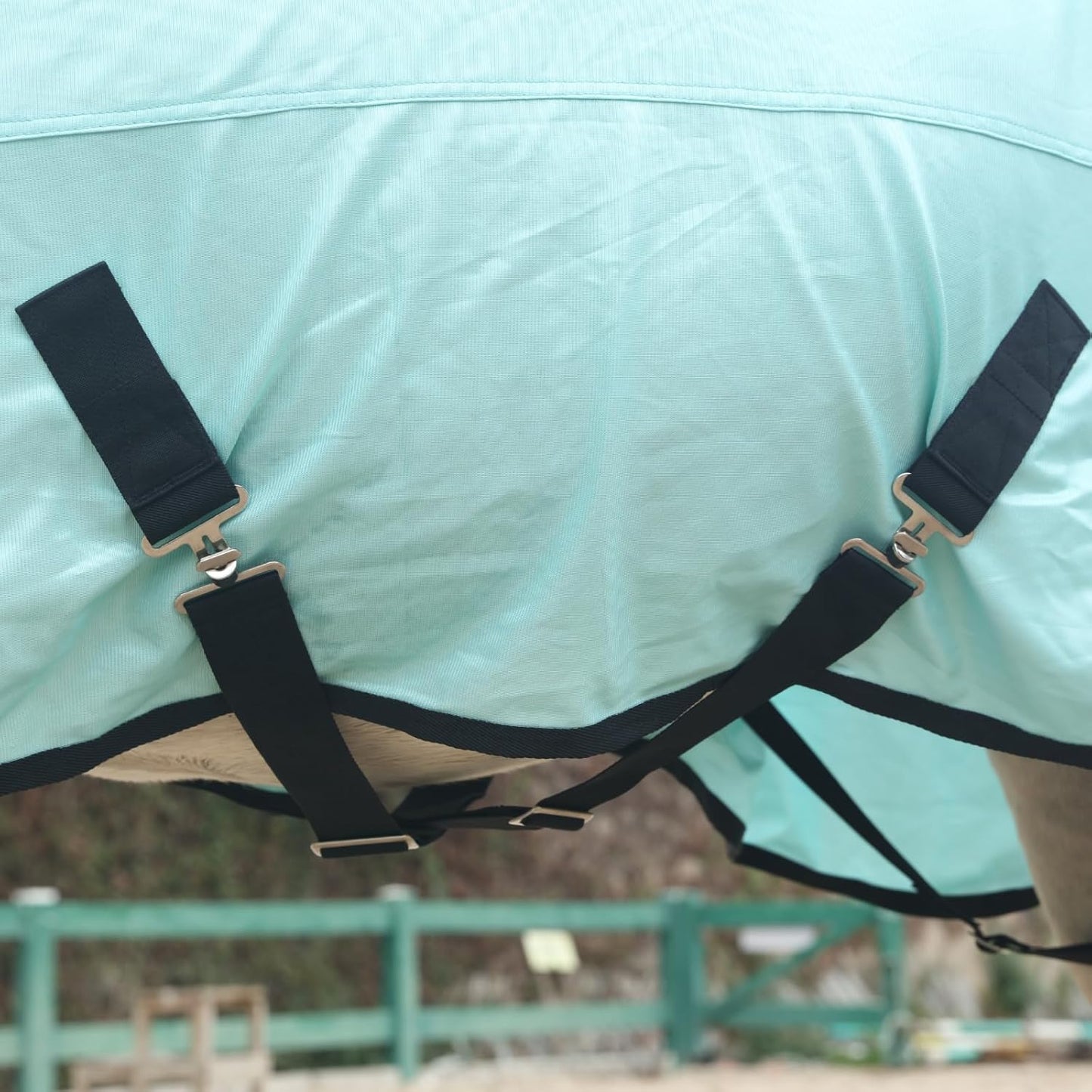 Horse Fly Sheet, Standard Neck Comfy Mesh Fly Sheet for Horses, Equine Summer Sheets UV-Protective Green 78