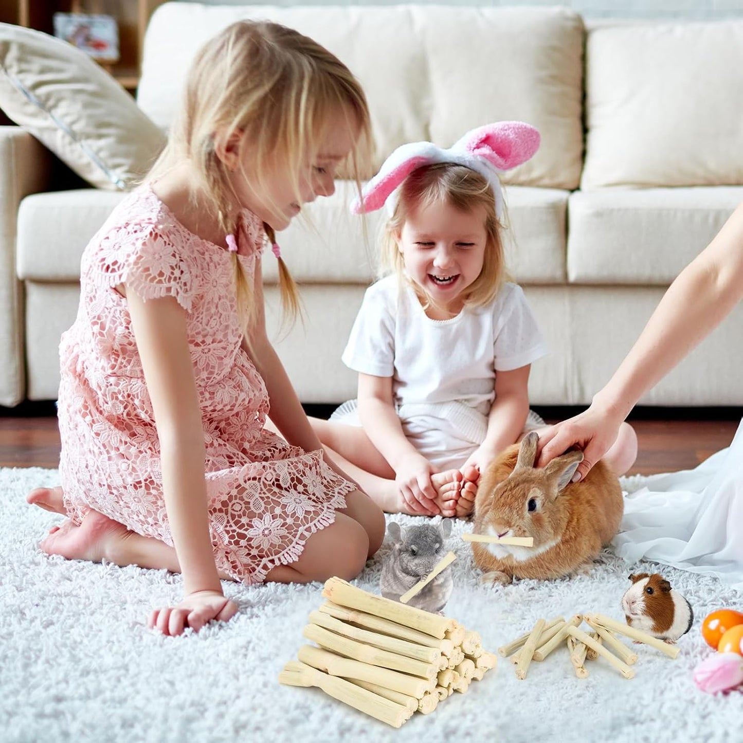 2.7lb Sweet Bamboo Sticks for Rabbits Chew Sticks Toys Guinea Pig Hamster Chinchilla Molar Treats Snacks, Natural Teeth Grinding Toys