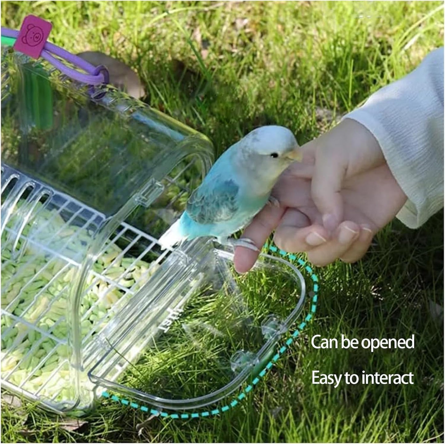 Small Bird Travel Cage Carrier,Portable Plastic Bird Cages,Portable Bird Carrier with Clear Acrylic Design, Travel Cage with Cover, Indoor Outdoor Use (Green)