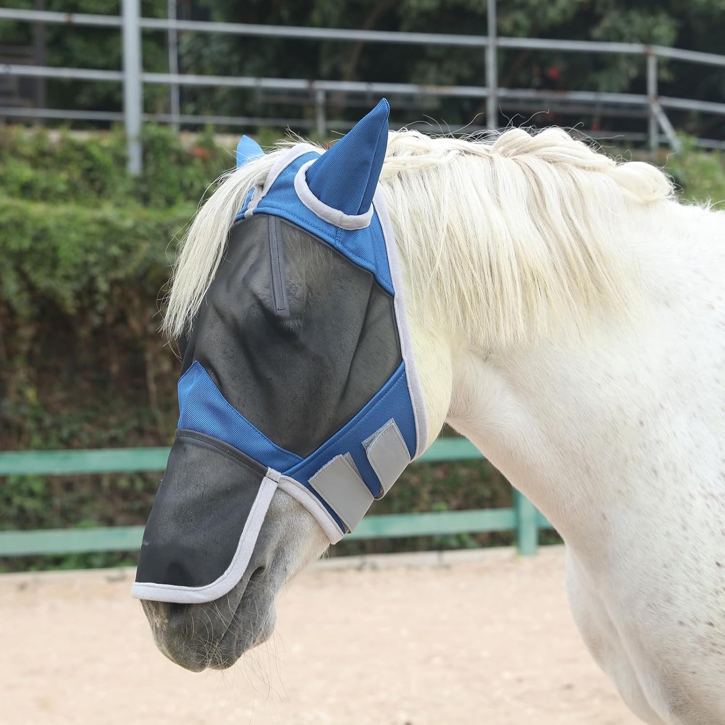 Horse Fly Mask with Ears & Long Nose Cover | Forelock Opening for Tangle-Free Mane Care | UV Protection & Breathable Mesh | No Rub Fit and Enhanced Visbility for Trail Riding RoyalBlue Full
