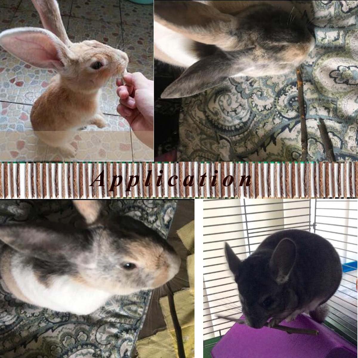 500g Apple Sticks Small Animals Molar Wood Toys for Rabbits Chinchillas Guinea Pig Hamster Gerbil Bunny and Small Animal Chew Stick Toys